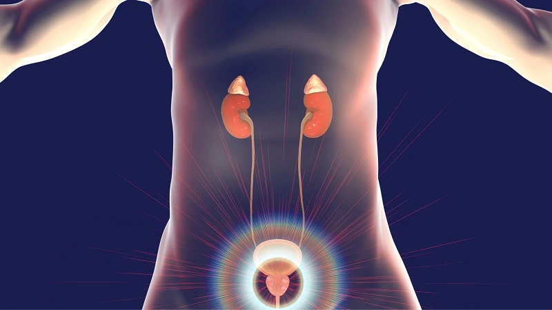 male pelvic floor physical therapy