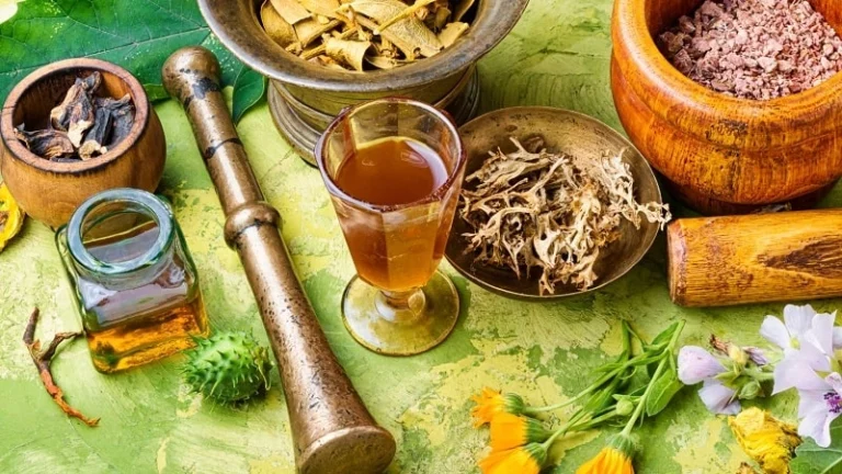 what is moringa tea good for